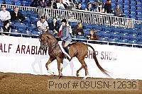 09usn-12636 proof