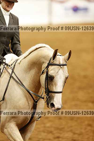 Proof 09usn-12639