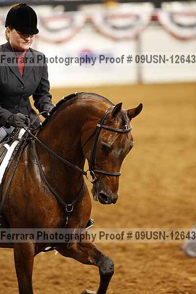 Proof 09usn-12643