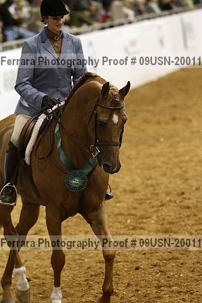 Proof 09usn-20011