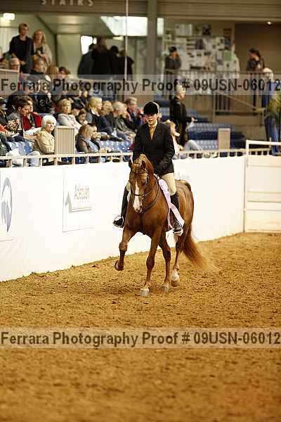 Proof 09usn-06012