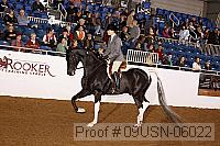 09usn-06022 proof
