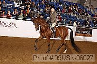 09usn-06027 proof