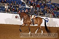 09usn-06028 proof
