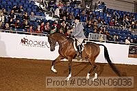 09usn-06036 proof