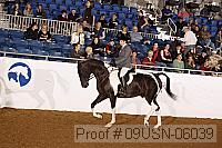 09usn-06039 proof