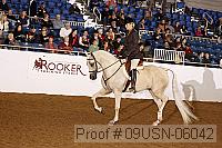 09usn-06042 proof