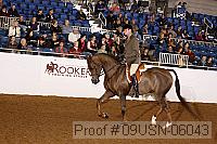 09usn-06043 proof