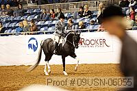 09usn-06055 proof