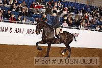 09usn-06061 proof