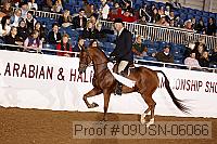 09usn-06066 proof