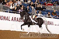 09usn-06070 proof