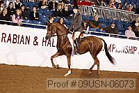 09usn-06073 proof
