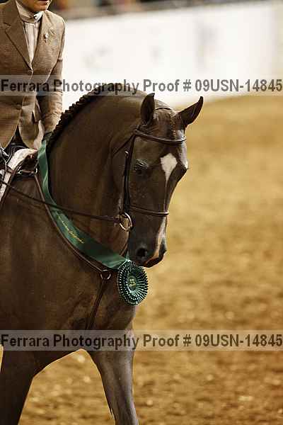 Proof 09usn-14845