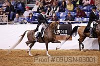 09usn-03001 proof