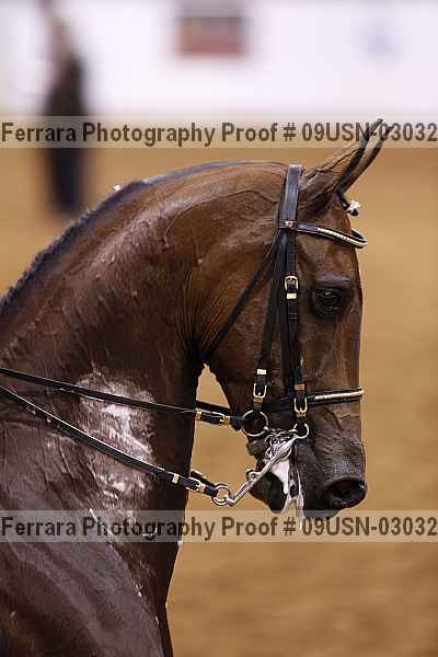 Proof 09usn-03032