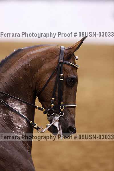 Proof 09usn-03033