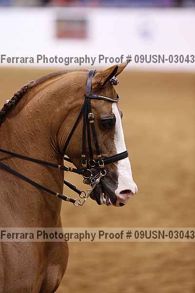 Proof 09usn-03043