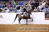 09usn-03048 proof