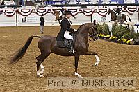 09usn-03334 proof