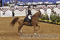 09usn-03338 proof