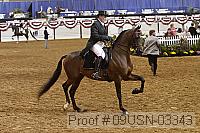 09usn-03343 proof