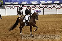 09usn-03344 proof