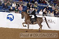 09usn-03573 proof