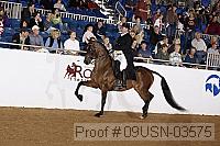 09usn-03575 proof