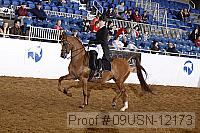 09usn-12173 proof