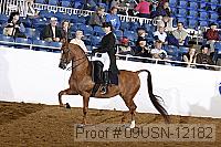 09usn-12182 proof