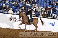 09usn-12202 proof