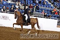 09usn-12206 proof