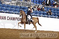 09usn-12209 proof