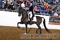 09usn-12248 proof