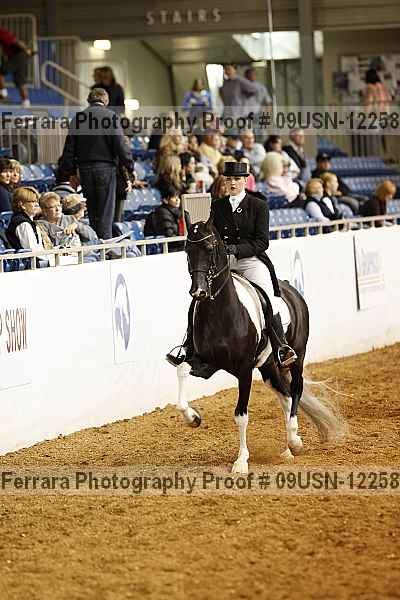Proof 09usn-12258