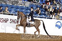 09usn-12285 proof