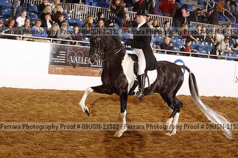 Proof 09usn-21532