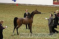 09usn-27234 proof