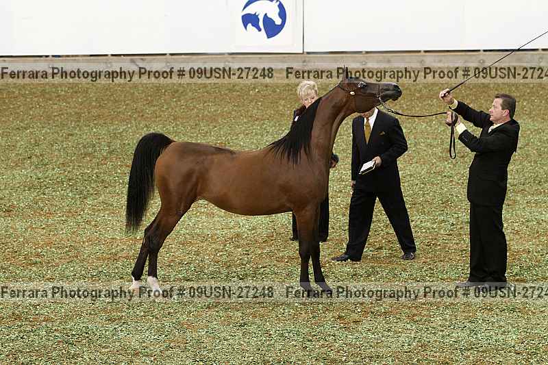 Proof 09usn-27248