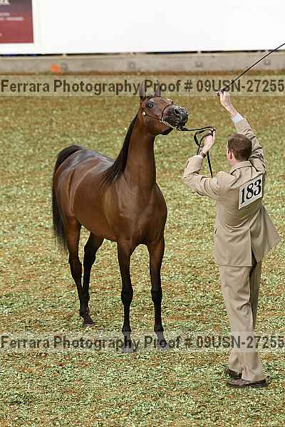 Proof 09usn-27255