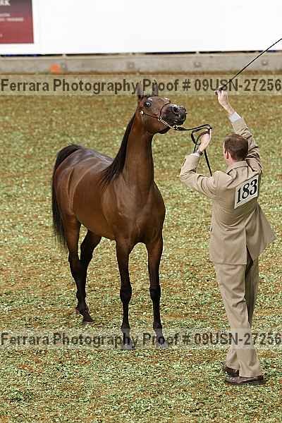Proof 09usn-27256