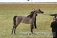 09usn-27263 proof