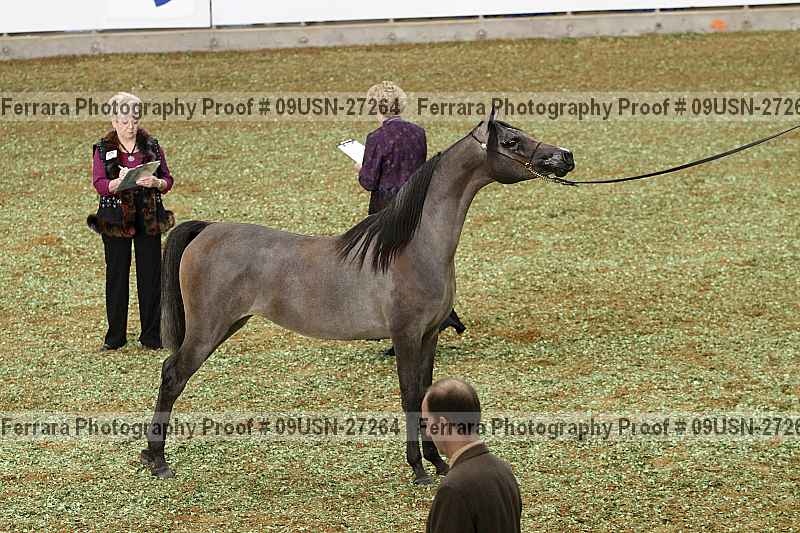 Proof 09usn-27264