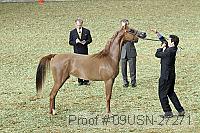 09usn-27271 proof