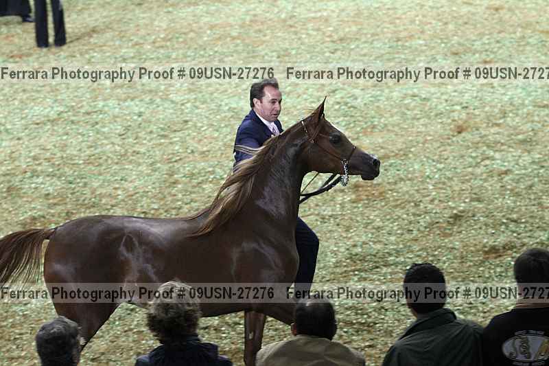 Proof 09usn-27276