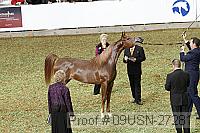 09usn-27281 proof