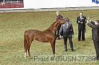 09usn-27288 proof
