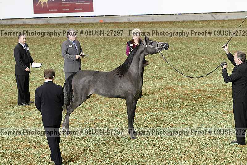 Proof 09usn-27297