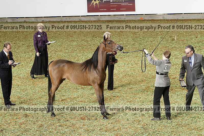 Proof 09usn-27325